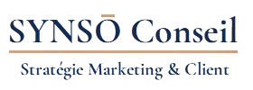 SYNSŌ Conseil